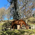 Aldea Couso Rural 호텔