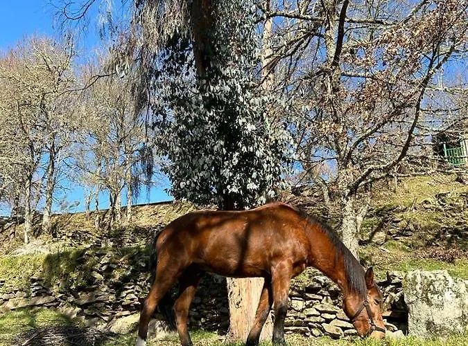 Aldea Couso Rural Hotel